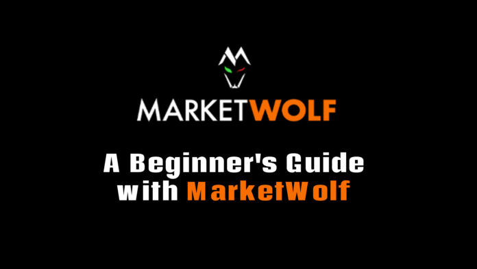 A Beginner's Guide with MarketWolf