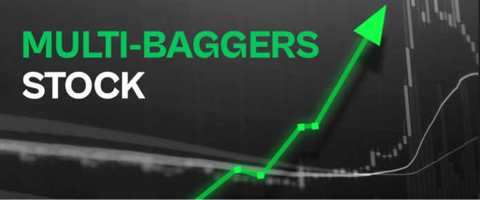 Multibagger Stocks